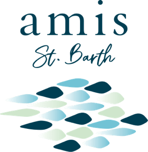 amis